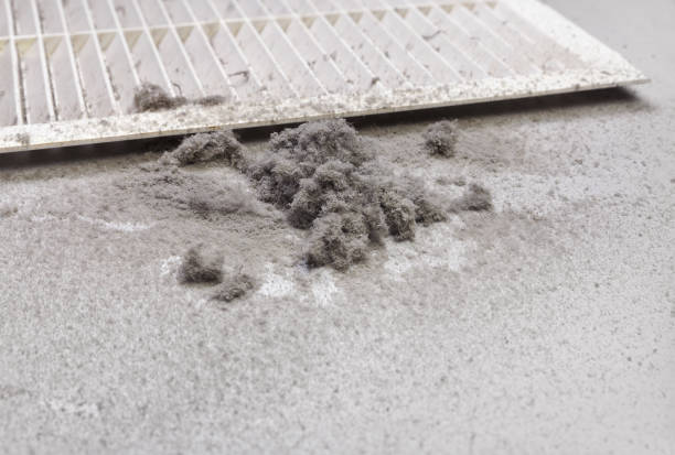 Best Emergency Air Duct Cleaning  in Zephyrhills, FL