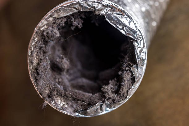 Best Local Air Duct Cleaning Services  in Zephyrhills, FL
