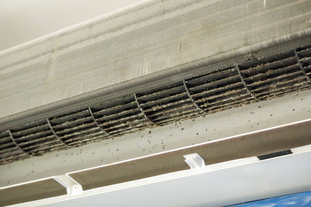 Best HVAC Air Duct Cleaning  in Zephyrhills, FL