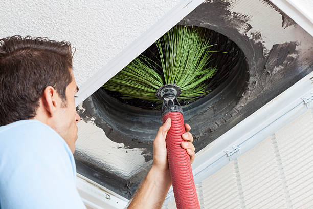Best Affordable Duct Cleaning Services  in Zephyrhills, FL